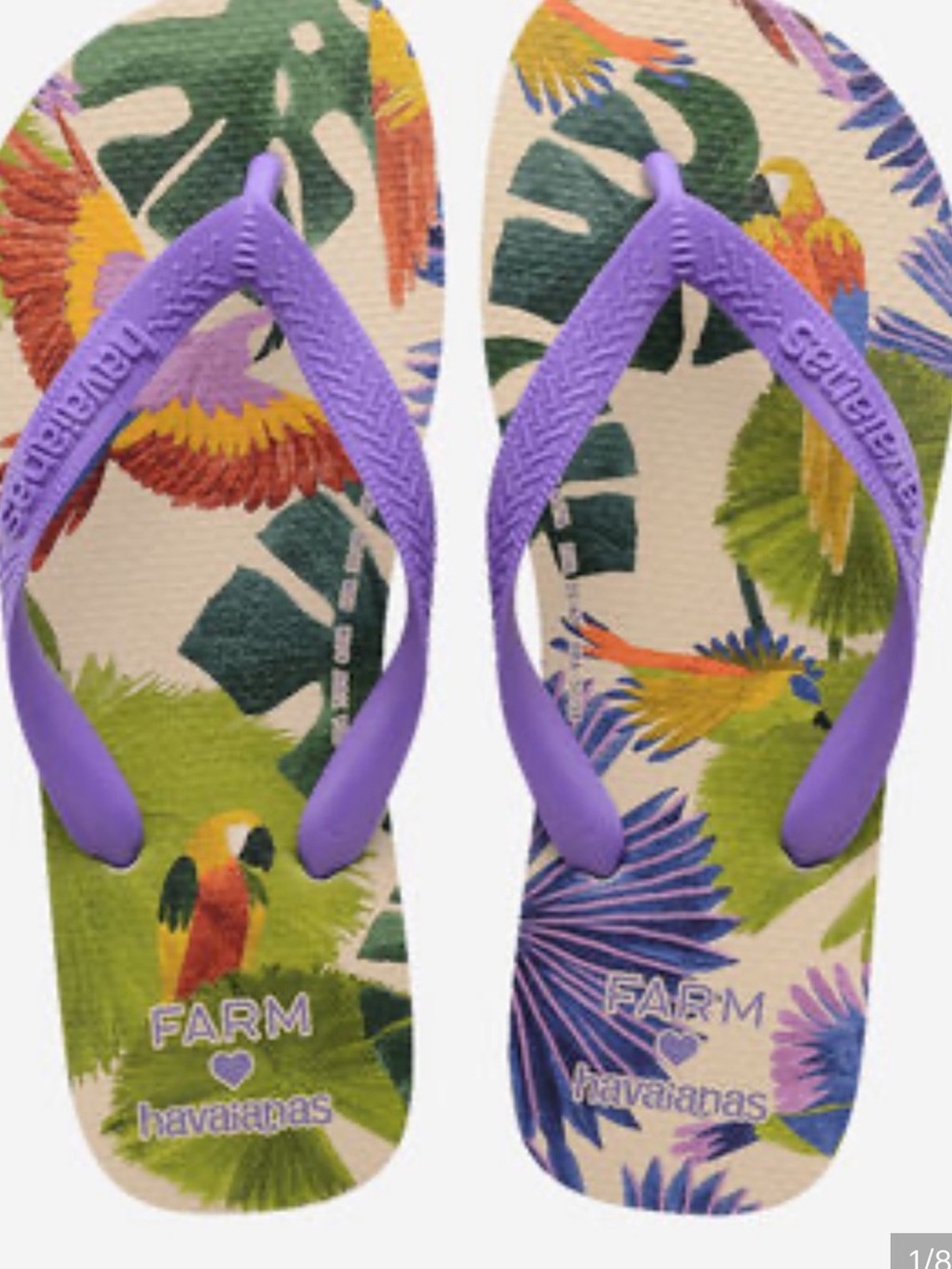 NEW 🆕 FARM Rio Tropical Bird-pattern flip-flops, size 7/8